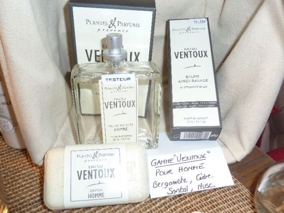 Gamme Homme 