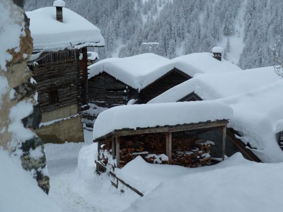 Le villard