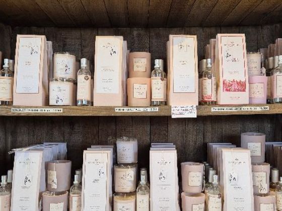 De nombreux parfums pour la maison 