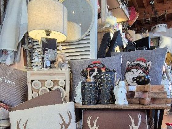 Nouvelle collection cerf