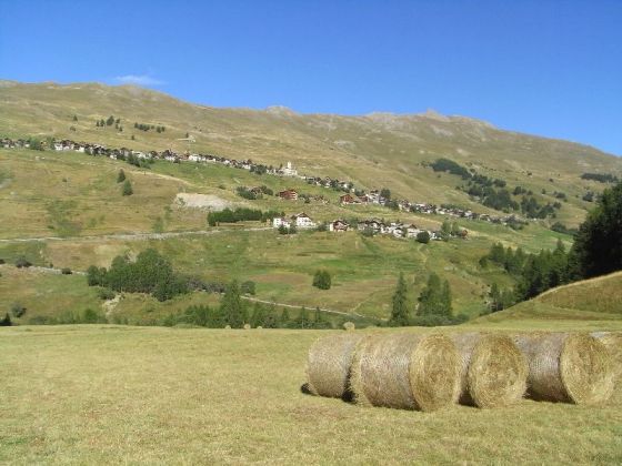 RIMG0633.JPG