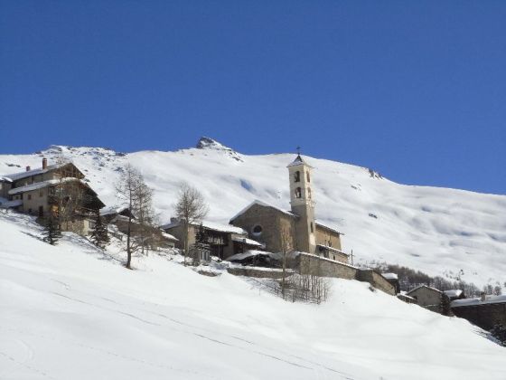 Majestueux 